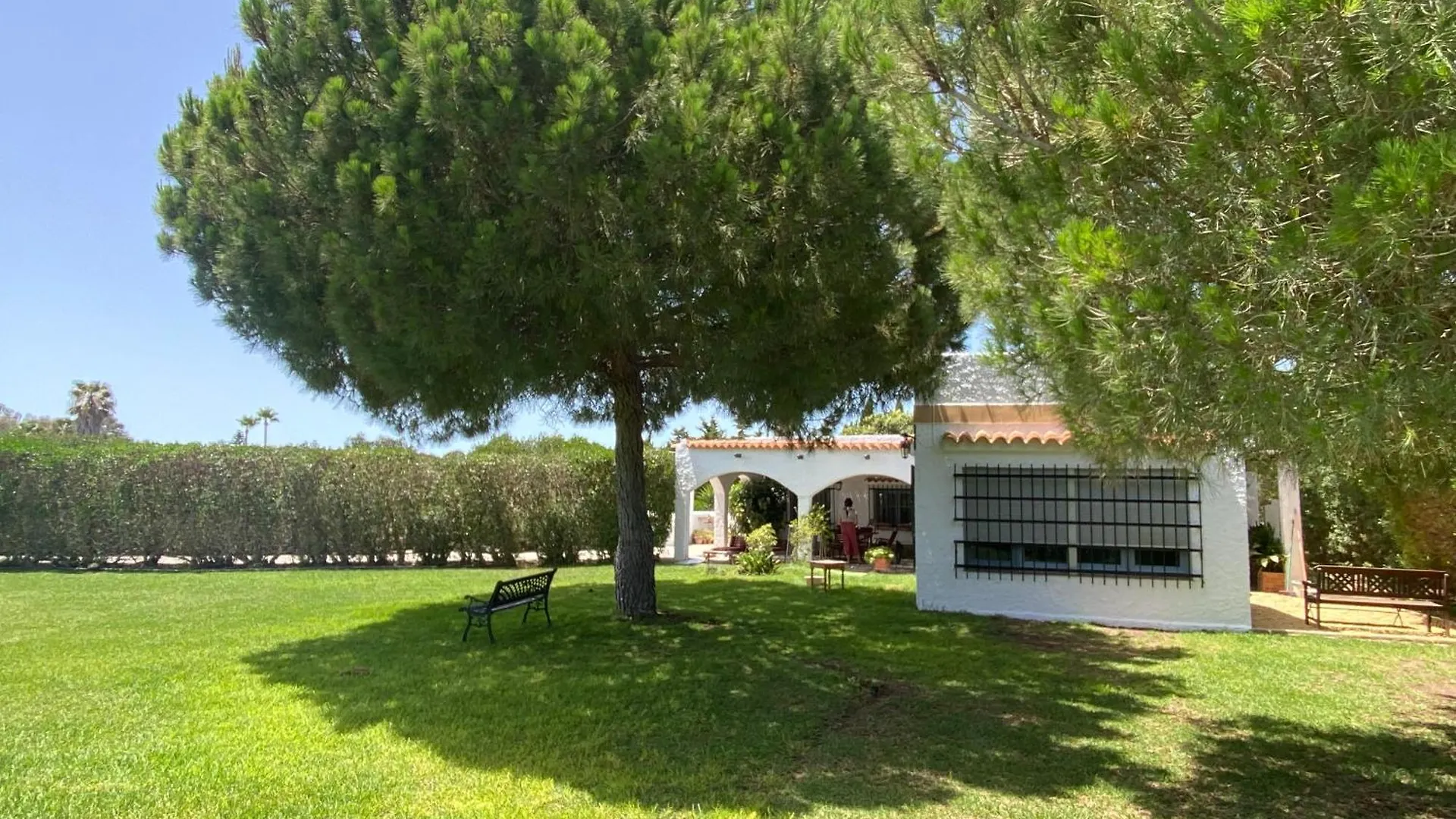 Campito Cerca Del Mar 