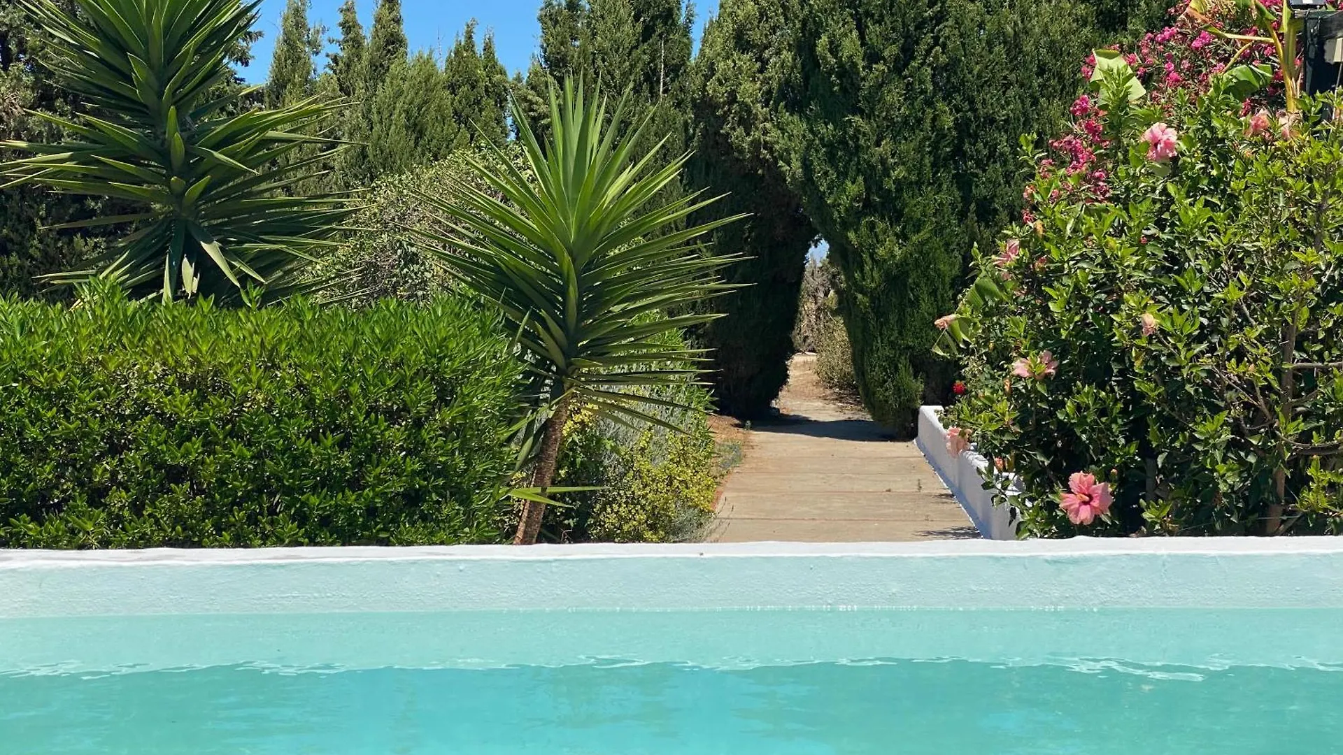 Campito Cerca Del Mar 